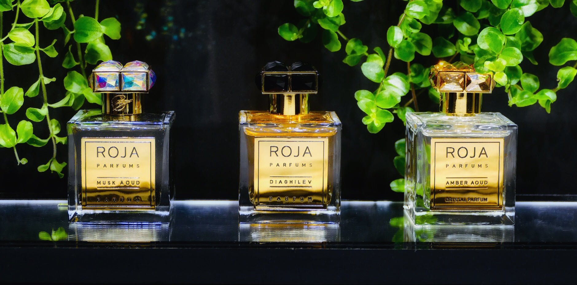 ROJA PARFUMS - PUA PUA