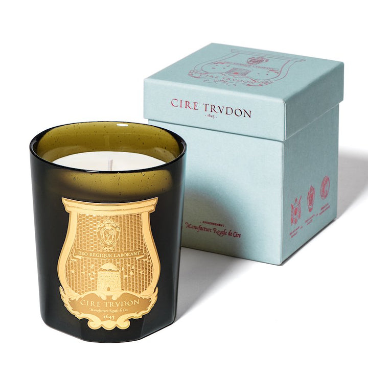 spiritus sancti - PUA PUA